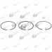 Segmenti Briggs and Stratton Sprint 3.5cp 65.1mm 498680 (Terra)